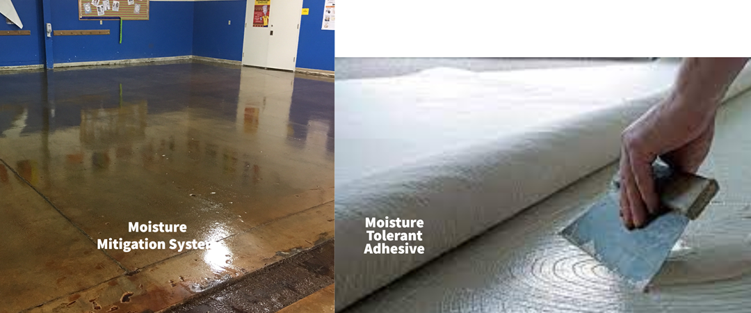 Moisture Mitigation Vs Moisture tolerant Adhesives: